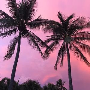 Meet your Posher, Hope